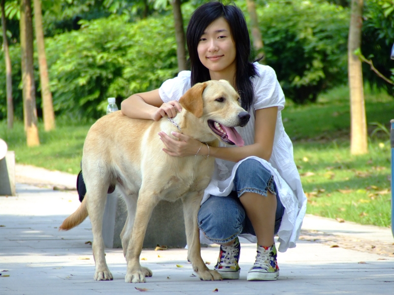 风中的绿叶的第一张照片--南平相亲服务中心