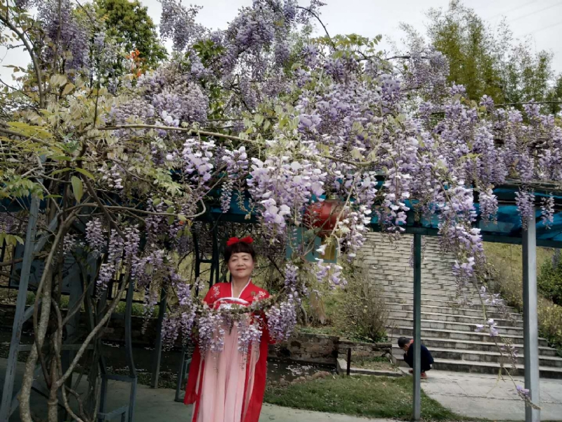 莉莉的第一张照片--南平相亲服务中心