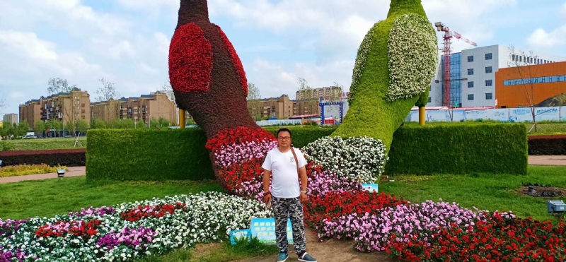 尘埃的第一张照片--南平相亲服务中心