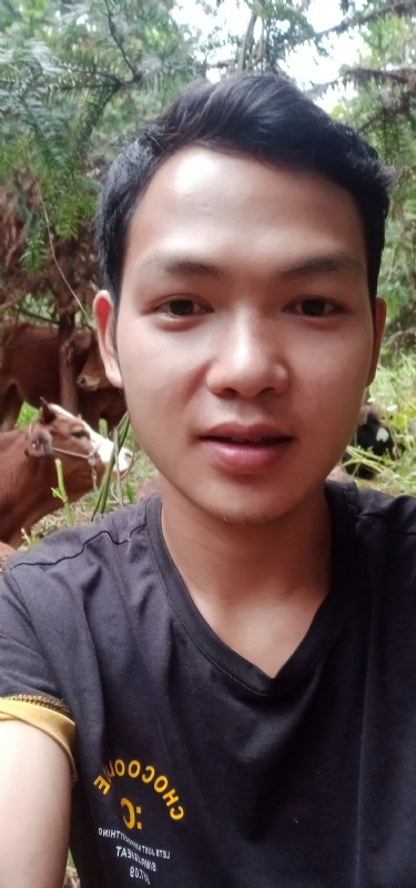 等AI的第一张照片--南平相亲服务中心