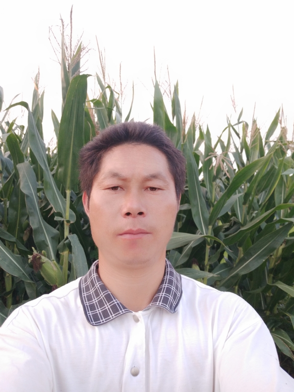 四海游龙的第二张照片--南平相亲服务中心