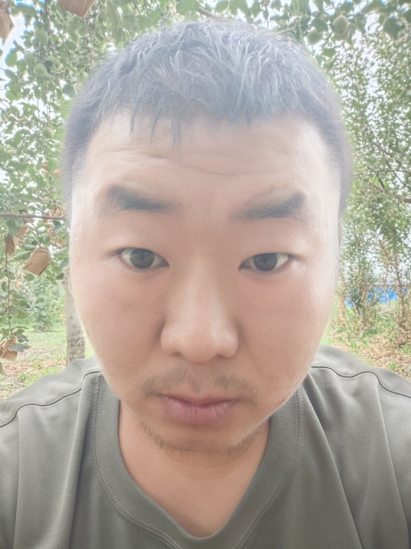 明天的第一张照片--南平相亲服务中心