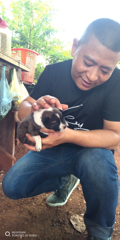 深圳相亲的第一张照片--南平相亲服务中心