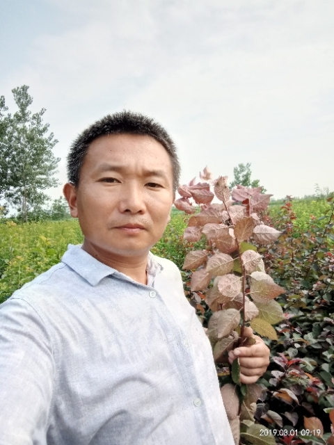 孩子爸的第二张照片--南平相亲服务中心