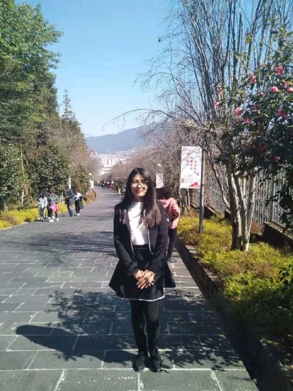 窗台上的桔梗的第一张照片--南平相亲服务中心