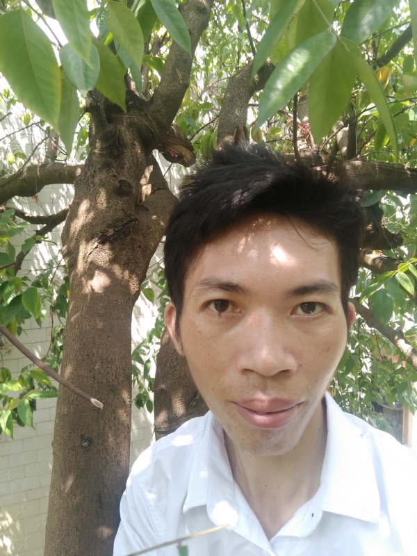 求缘的第二张照片--南平相亲服务中心