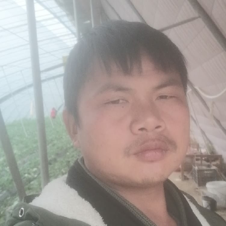 孤狼‘的第一张照片--南平相亲服务中心