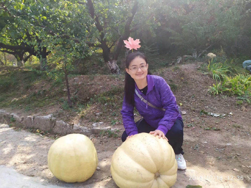 海绵宝宝的第一张照片--南平相亲服务中心