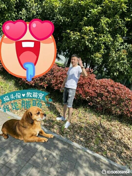 我若不坚强谁替我勇敢的第五张照片--南平相亲服务中心