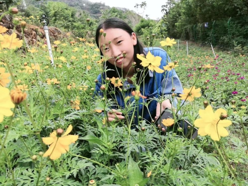 哈哈的第一张照片--南平相亲服务中心