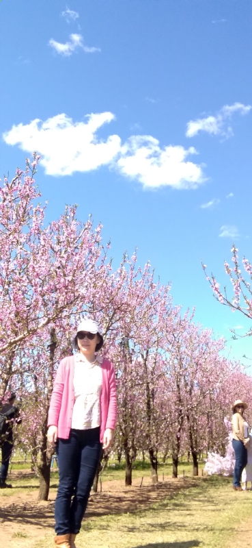 Grace的第二张照片--南平相亲服务中心