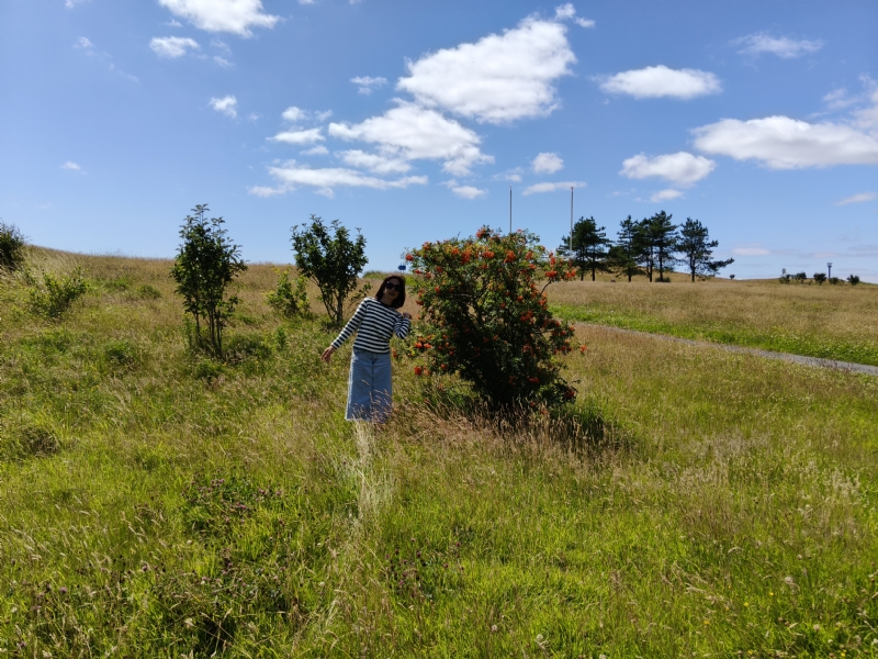 秋蝉的第一张照片--南平相亲服务中心