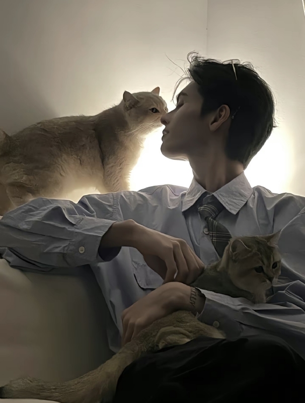 怪猫的第一张照片--南平相亲服务中心