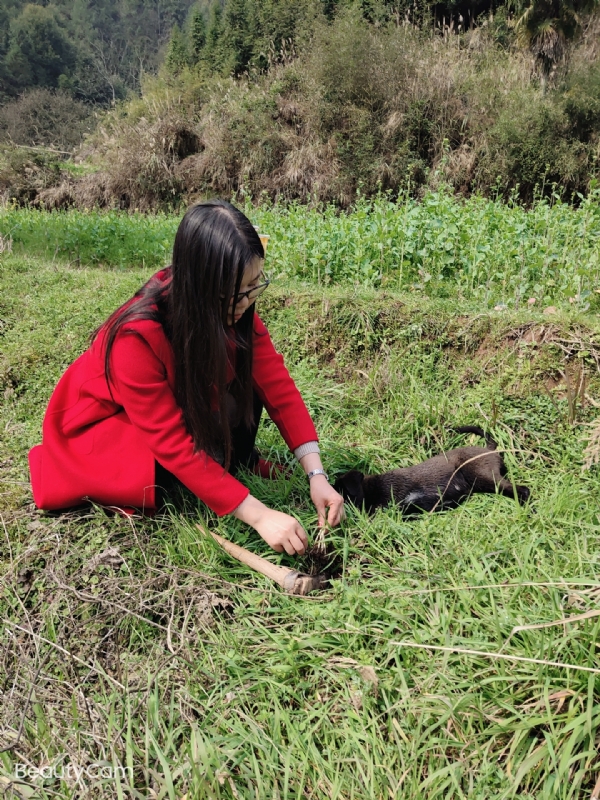 下一个春和秋的第一张照片--南平相亲服务中心
