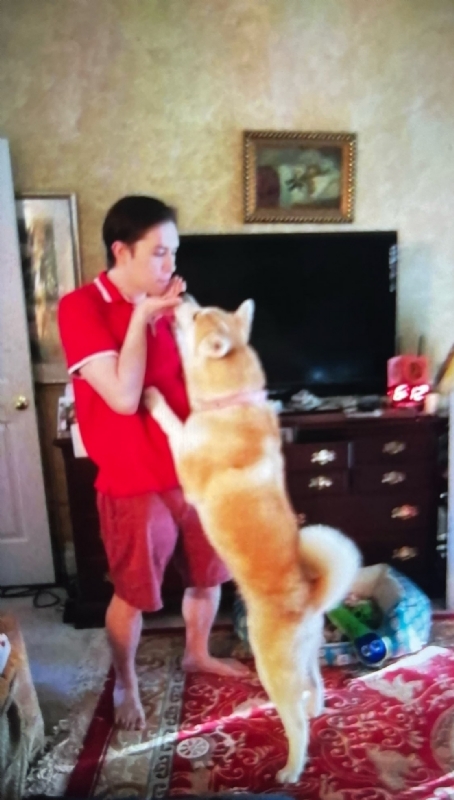 Leluch的第一张照片--南平相亲服务中心