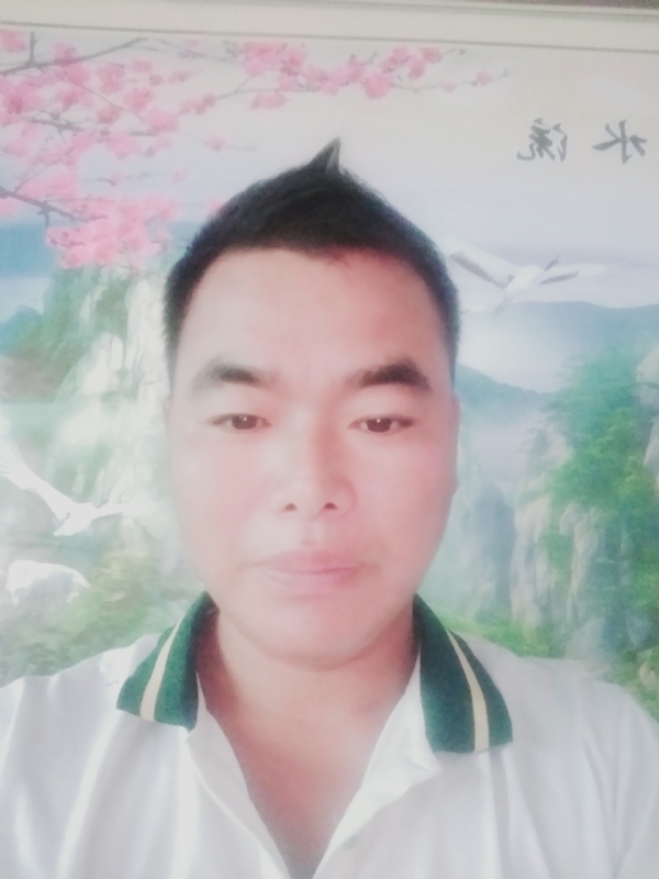 阳光男孩的第二张照片--南平相亲服务中心