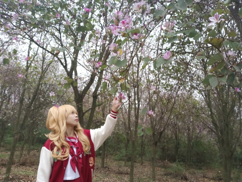 暮秋的第一张照片--南平相亲服务中心