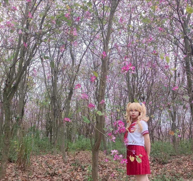 暮秋的第三张照片--南平相亲服务中心