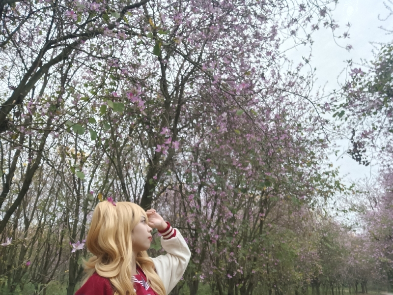 暮秋的第五张照片--南平相亲服务中心