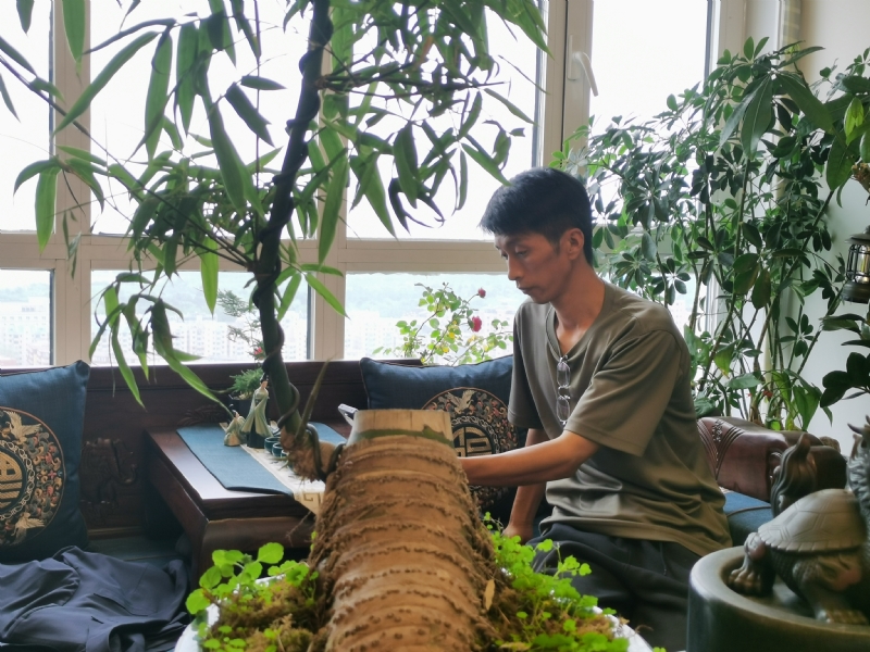 成个家的第一张照片--南平相亲服务中心