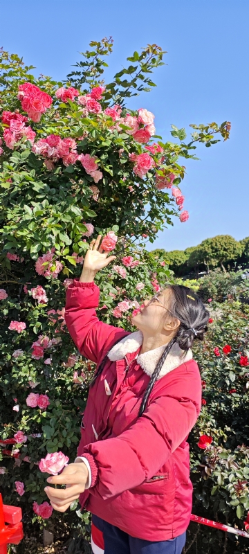 狗狗的第一张照片--南平相亲服务中心