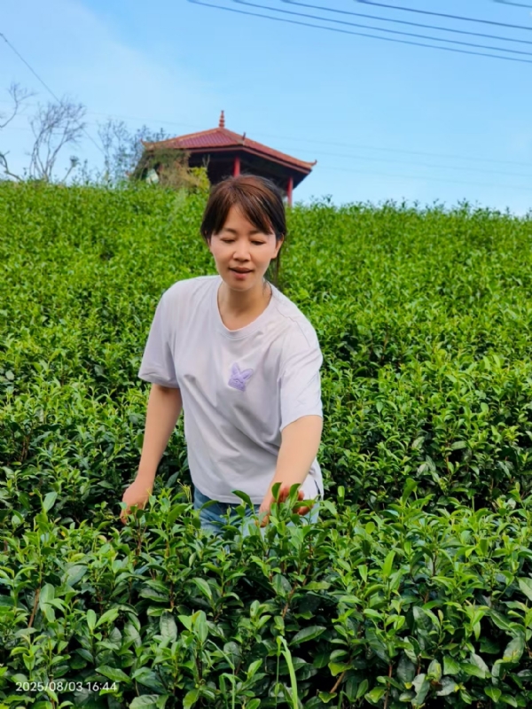 Q绮芳的第一张照片--南平相亲服务中心