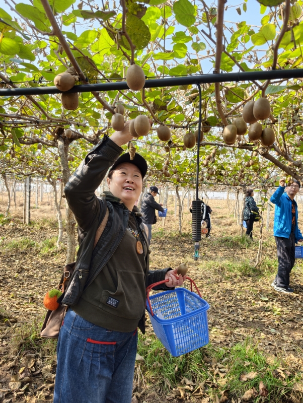 夜莺的第三张照片--南平相亲服务中心